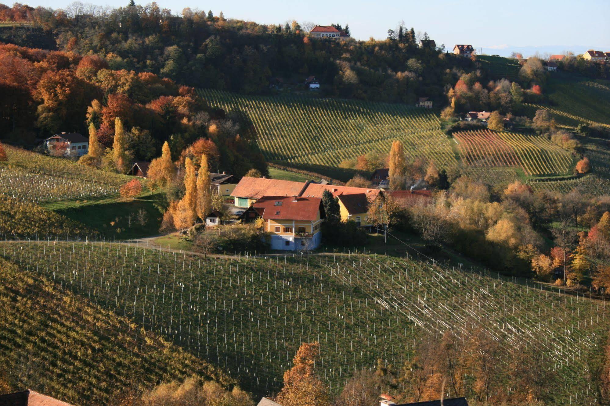 Weingut Primus Suedsteiermark Spielfeld Eksteriør bilde