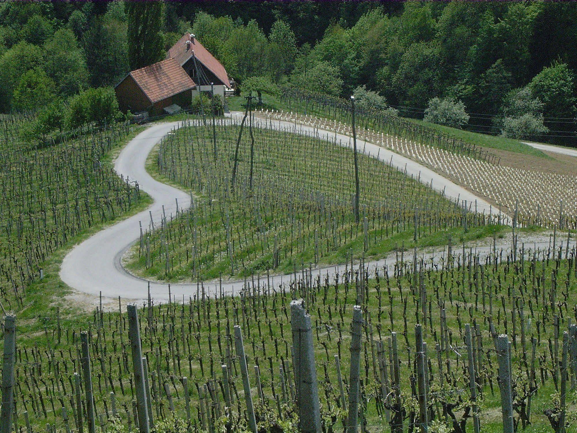 Weingut Primus Suedsteiermark Spielfeld Eksteriør bilde
